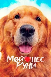 Мой пёс Руни 2023 постер
