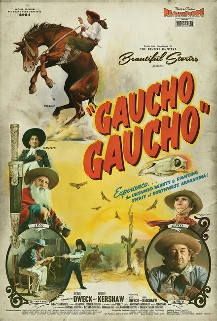 Постер Gaucho Gaucho