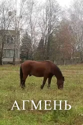 Агмень 2017 постер