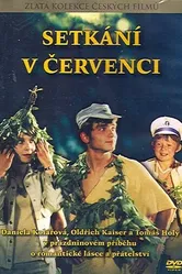 Встреча в июле 1978 постер