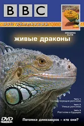 BBC: Живые драконы 2004 постер