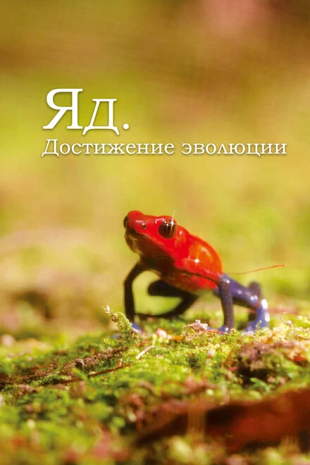 Постер Яд. Достижение эволюции 2015