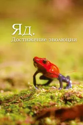 Яд. Достижение эволюции 2015 постер