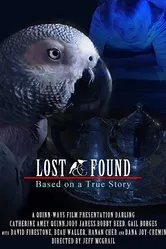 48 hour Lost & Found (2020 IV) постер