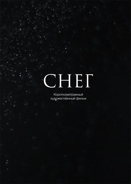 Постер Снег 2013
