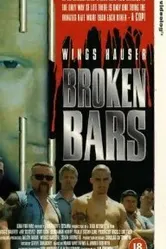 Сломанные прутья 1995 постер