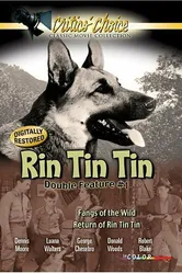 The Return of Rin Tin Tin постер