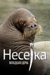Несейка. Младшая дочь 2018 постер