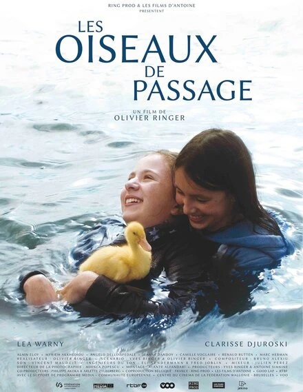 Постер Les oiseaux de passage