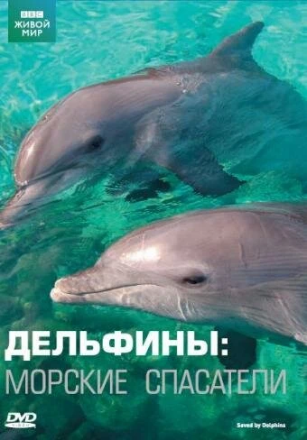Постер Дельфины: Морские спасатели 2008