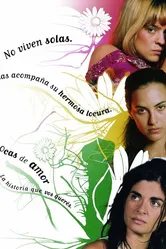 Безумная любовь 2004 постер