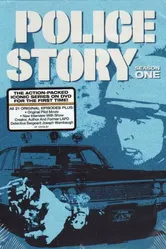 Полицейская история 1973 постер