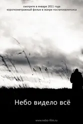 Небо видело всё 2011 постер