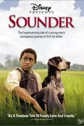 Sounder постер