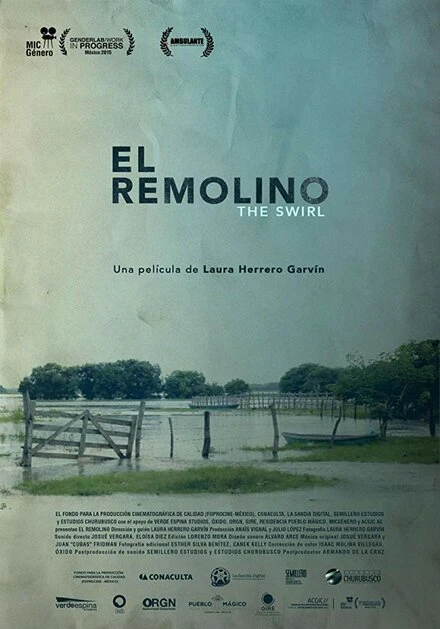 Постер El Remolino