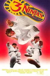 Три ниндзя: Костяшки вверх 1995 постер