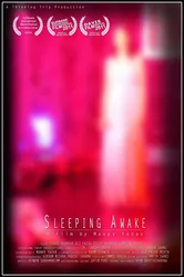 Sleeping Awake 2010 постер