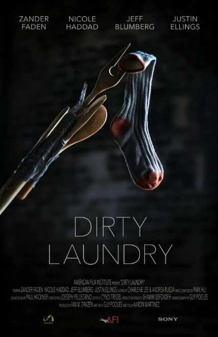 Постер Dirty Laundry 2014, США