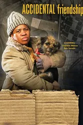 Случайная дружба 2008 постер