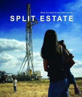 Постер Split Estate