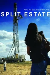 Split Estate постер