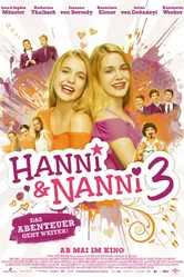 Ханни и Нанни 3 2013 постер