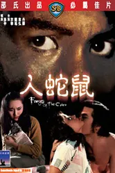 Клыки кобры 1977 постер