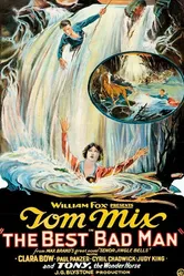 Лучший подлец 1925 постер