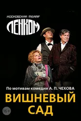 Вишнёвый сад 2011 постер