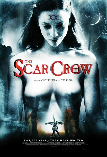 Постер Раненый ворон 2009