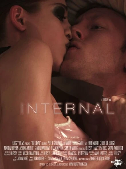 Постер Internal 2013
