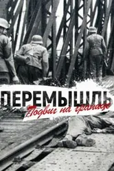 Перемышль. Подвиг на Границе 2015 постер