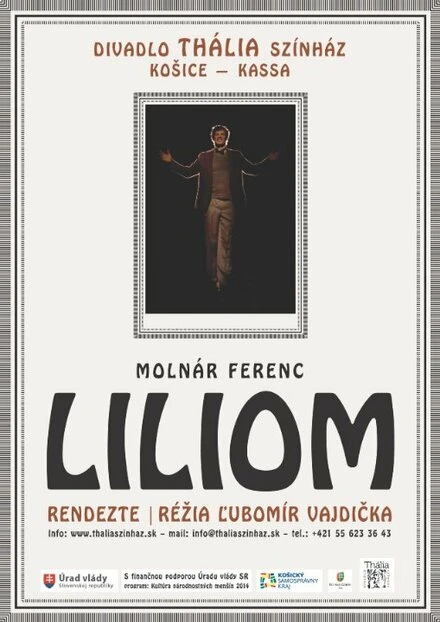 Постер Liliom