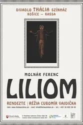 Liliom постер