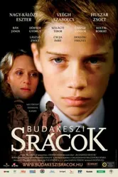 Будапештские пацаны 2006 постер