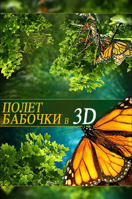 Постер Полет бабочки 3D 2012