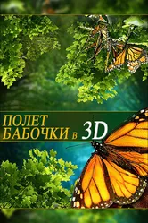 Полет бабочки 3D 2012 постер