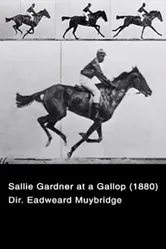Салли Гарднер в галопе 1878 постер