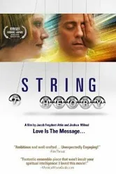 String Theory постер