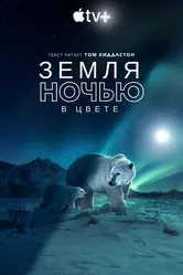 Земля ночью в цвете 2020 постер