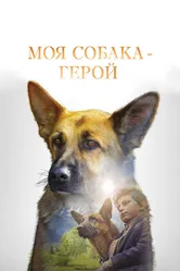 Моя собака — герой 2018 постер