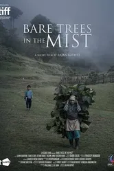Bare Trees in the Mist постер