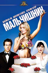 Мальчишник 2003 постер