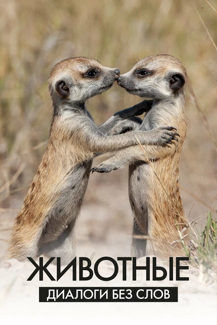Постер Животные: Диалоги без слов 2024