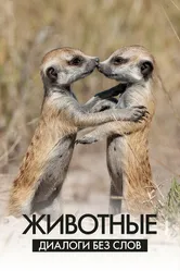 Животные: Диалоги без слов 2024 постер