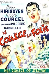 Le collège en folie постер