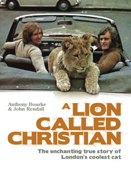 Постер A Lion Called Christian