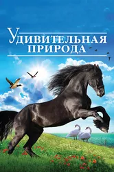 Удивительная природа 3D 2012 постер