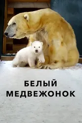 Белый медвежонок 2018 постер