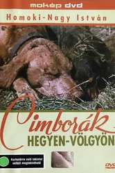 Дорога с приключениями 1960 постер